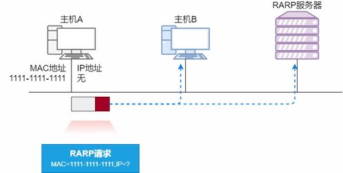 36張圖詳解ARP 網絡世界沒有我，你哪也別想去
